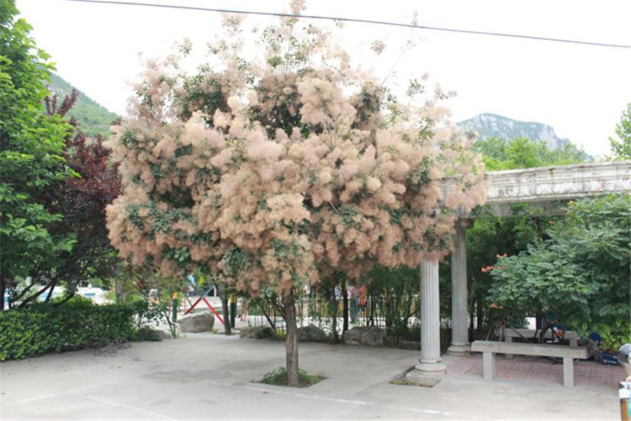 骑自行车旅游的好处以及注意事项