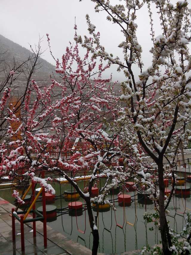 为什么经常旅行的人更可能获得成功呢