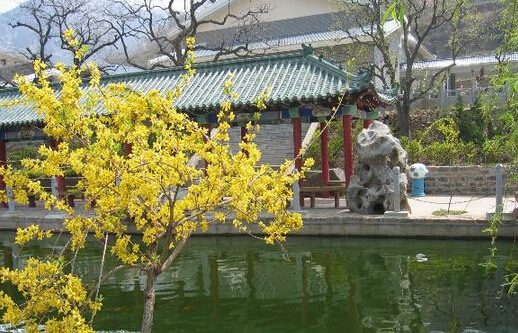 济南近郊游，有一种旅行叫做诗和远方