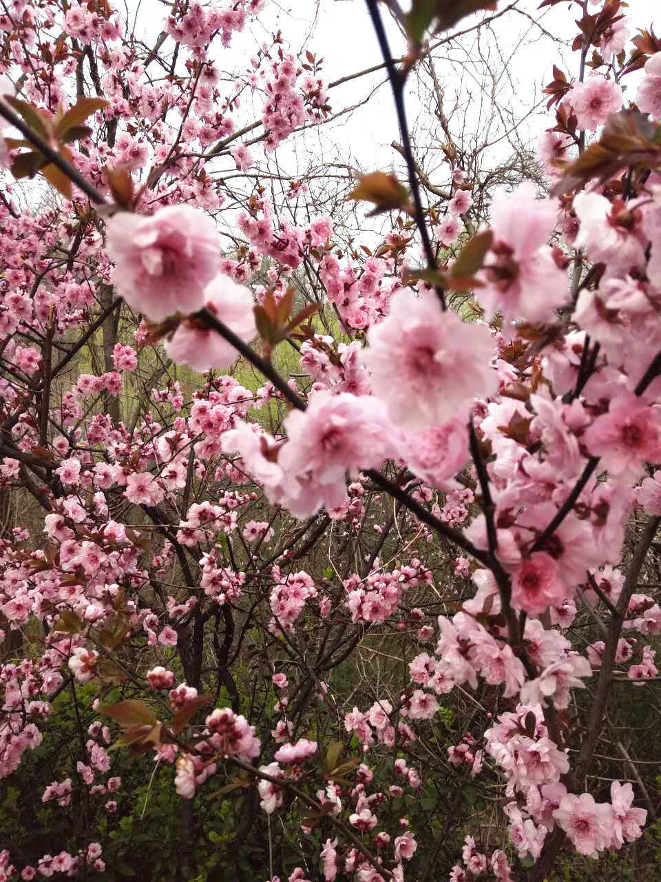 春季爬山需要注意什么