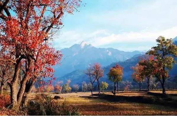 秋季旅行有哪些注意事项？