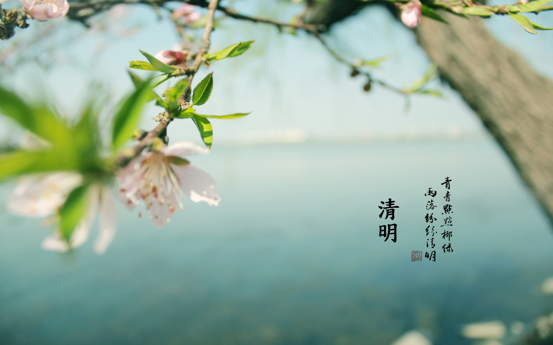 四月清明，春回大地，清明踏青，就来章丘三王峪山水风景园！