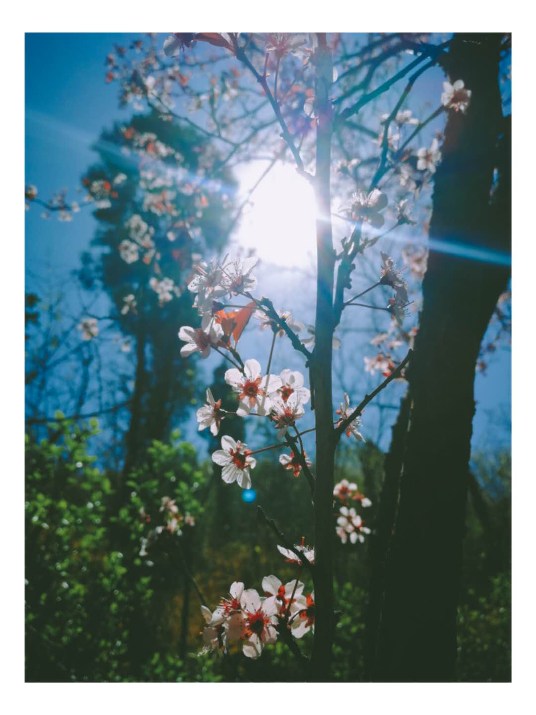 济南水上乐园，花草返青，和三王峪来场约会吧！