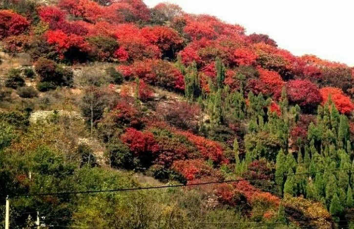 天凉好个秋，济南秋季最适合旅行的好去处，章丘三王峪山水风景园