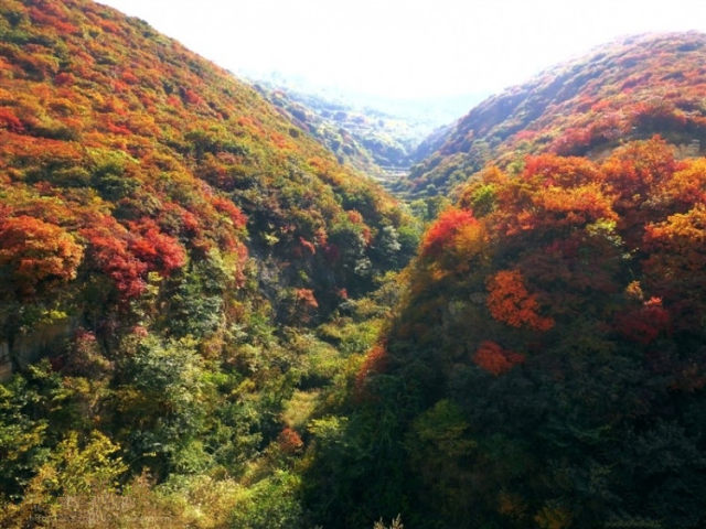章丘三王峪景区红叶旅游观赏季开始啦！给心灵放个假，去享受大自然的馈赠