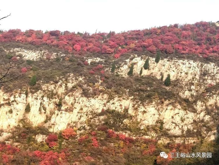 春季万点红，夏季满山滴翠，秋季红叶遍岭，冬季松柏郁蔽，三王峪