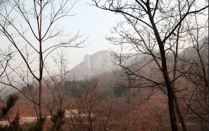 美景，绚烂了三王峪整个冬日