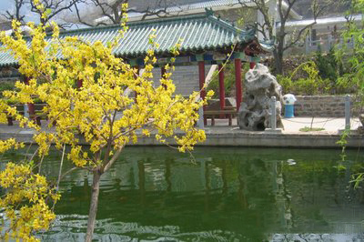 女神节丨在章丘三王峪遇见最美的你~