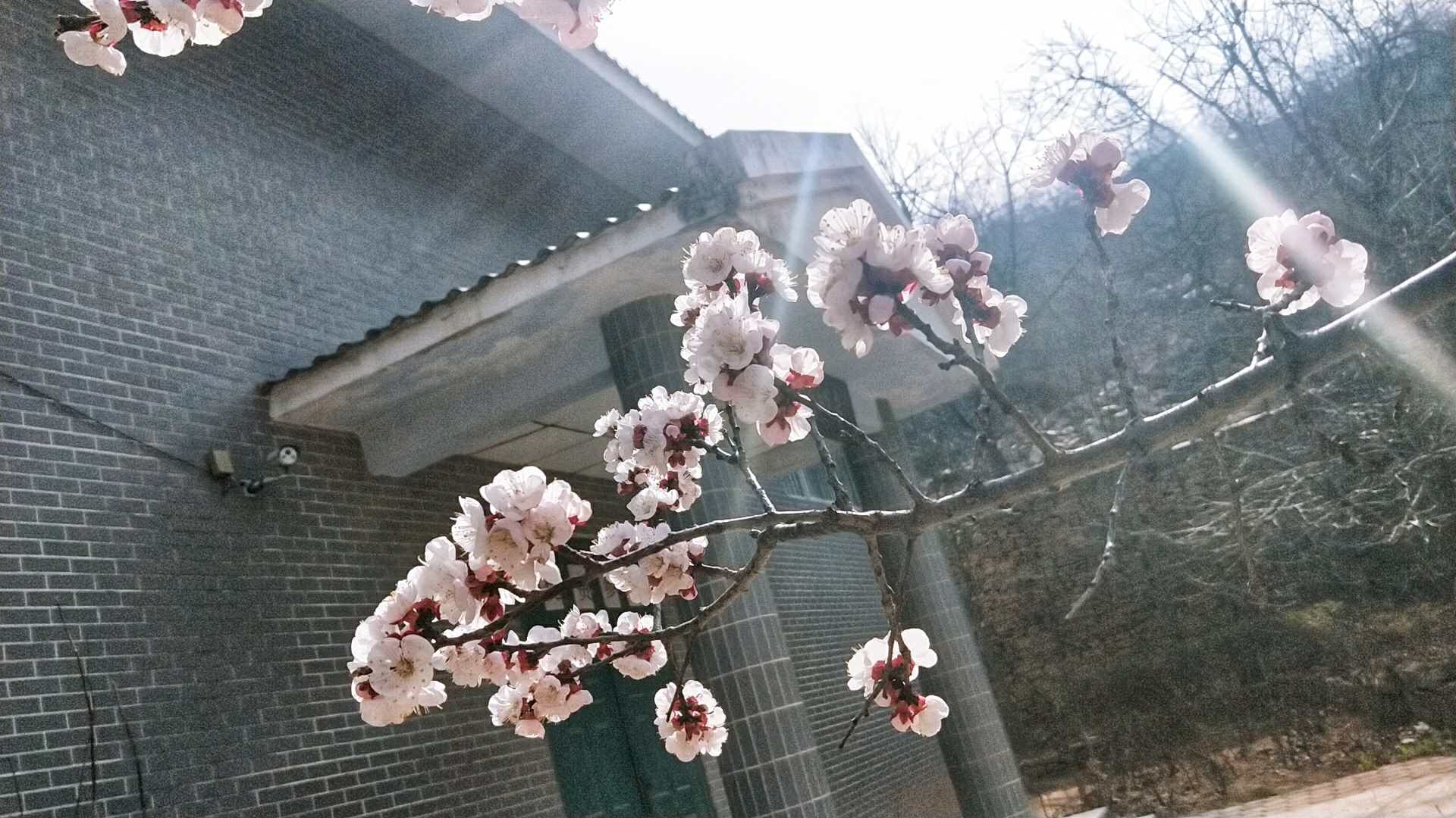 藏不住了！四月济南旅行地公布，在章丘三王峪玩转整个春天