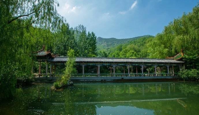 济南章丘三王峪，以花会友，笑迎八方客！
