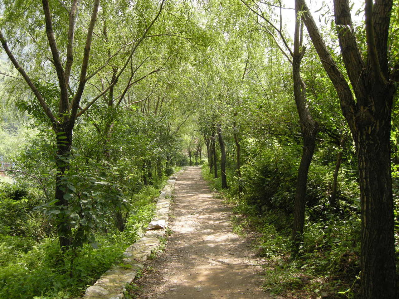 济南一日游，炎炎夏日就到章丘这个景区来，三王峪风景园
