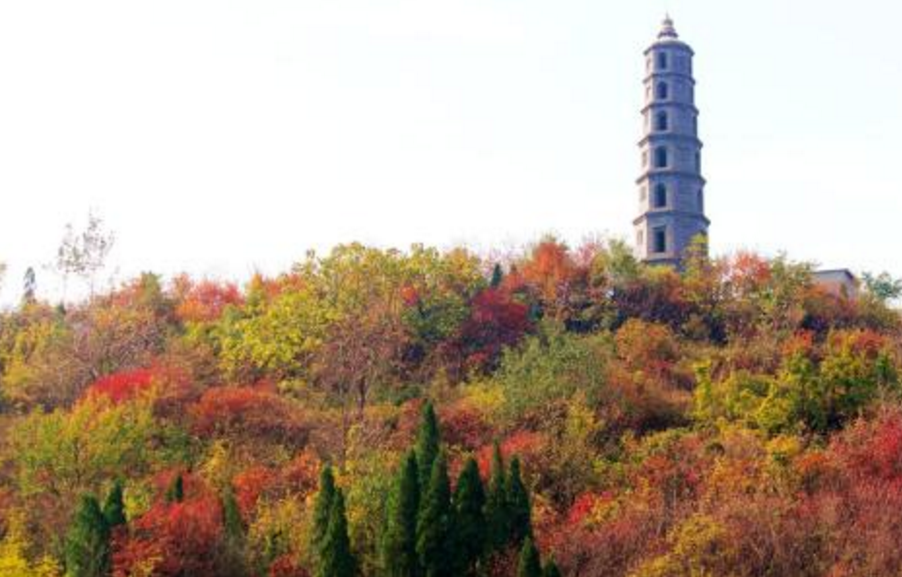 哇！漫山遍野红叶正开时，三王峪向您发出邀请！10月19日，欢迎品鉴~