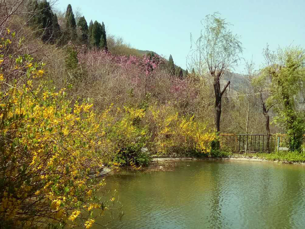 2019济南春游赏花好去处，赏花踏青爬山一应俱全！三王峪