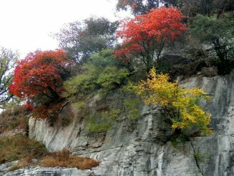 秋季旅游的必备宝典！！赶紧收藏起来吧！！济南三王峪景区