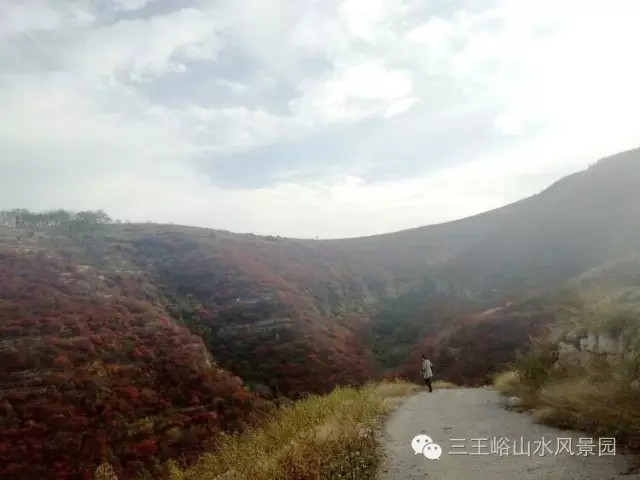 秋游三王峪，山间漫步赏红叶