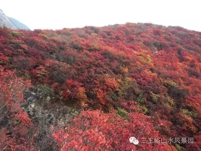 三王峪介绍冬季旅行的小知识
